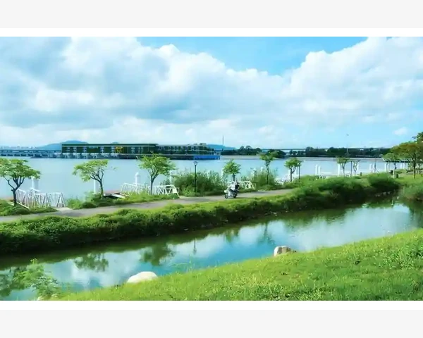 半月板手术后能否进行针灸治疗？